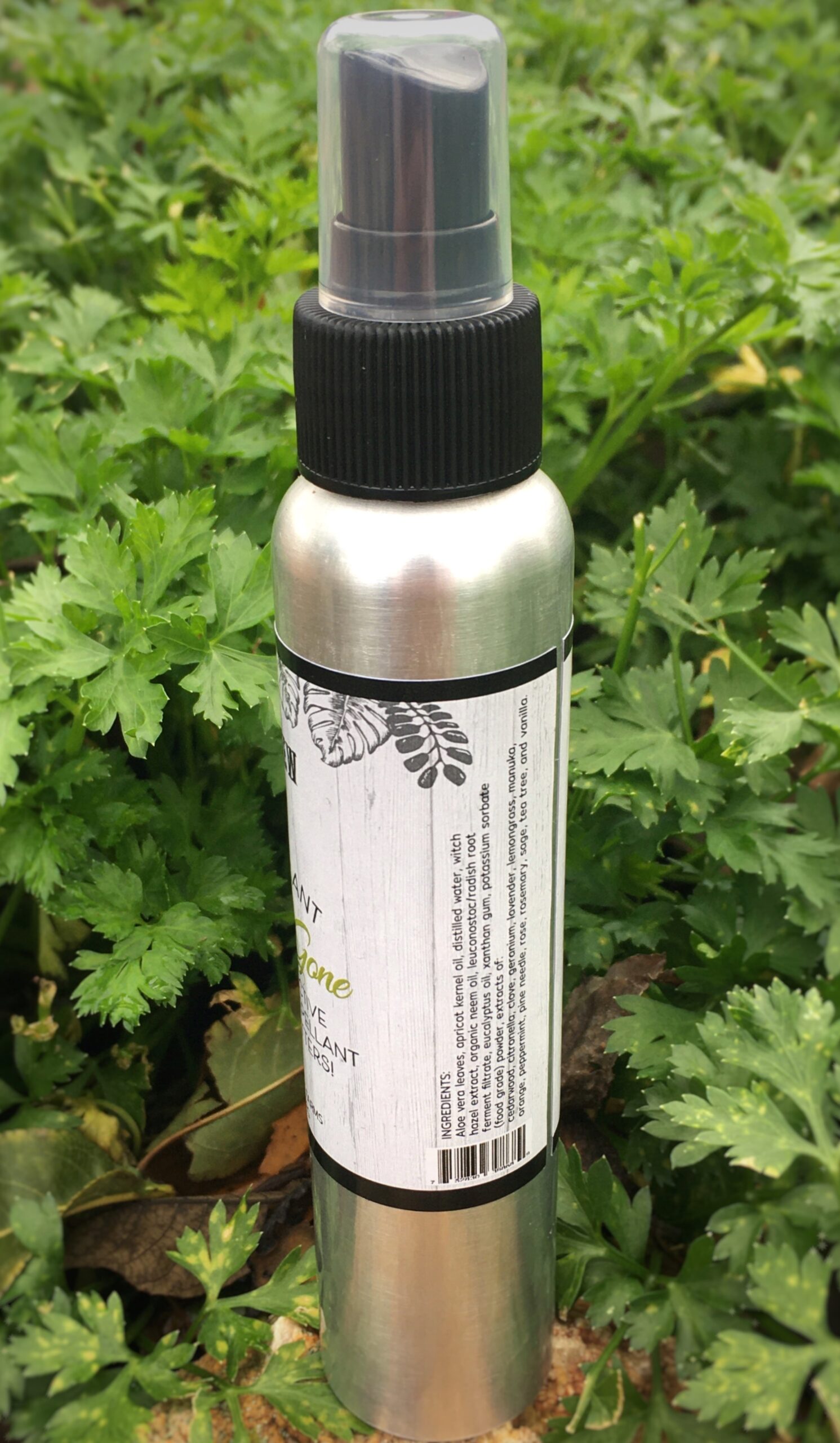 A silver bottle with a black cap outdoors among green plants.